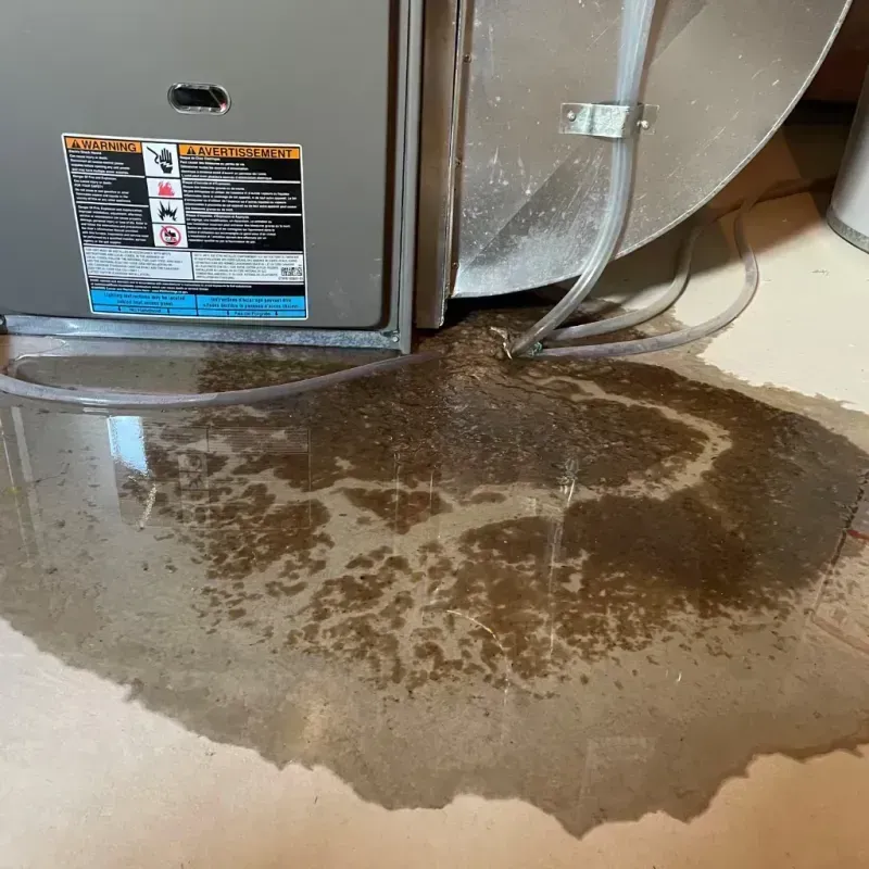 Appliance Leak Cleanup in Walworth County, SD